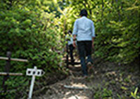 温泉神社への散歩道