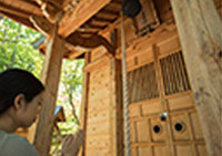 温泉神社への散歩道