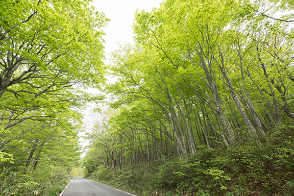 磐梯吾妻スカイライン